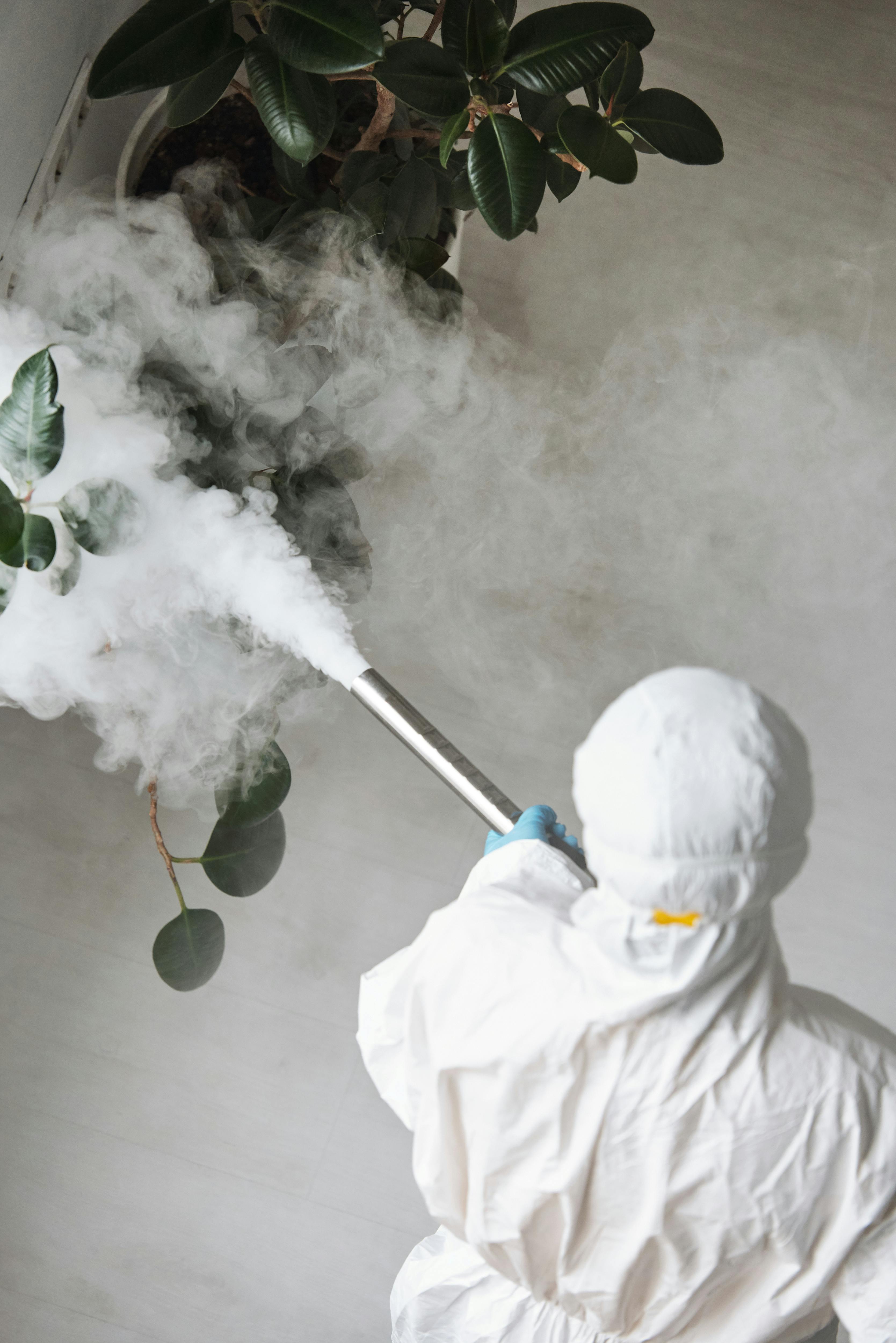 Fumigation preparation and treatment
